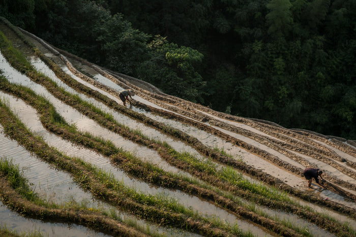 The Red Yao have lived in balance with nature for many generations.