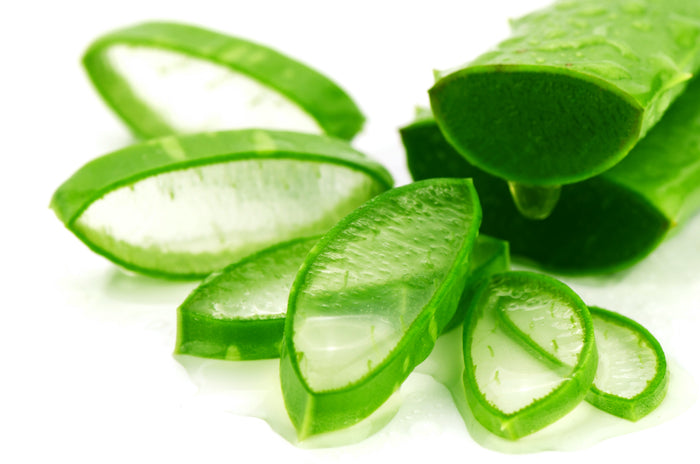 Discover hydrating ingredients for your hair.