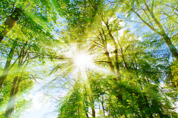 Top five environmental benefits to choosing natural products.