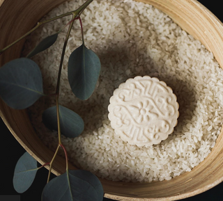 Botanicals and Biocompatibility: How Natural Ingredients Shampoo Nurtures Scalp Health