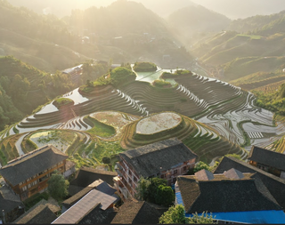 Chemical-Free Dry Shampoos: A Comparative Analysis of Their Efficacy Against Conventional Dry Shampoos