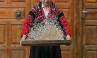 Viori product image