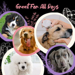 Pet Shampoo Bar | Peony & Vanilla Orchid / Jasmine & Lavender