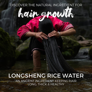 *Gift* The Tradition Bundle