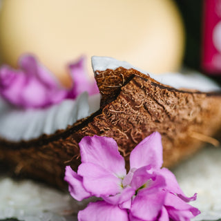 Body Butter Bar | Coconut Bliss