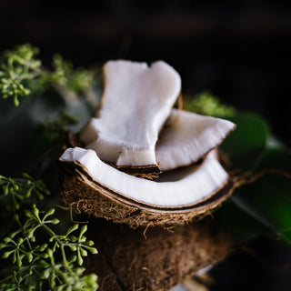 Sugar Scrub Bar | Coconut Bliss