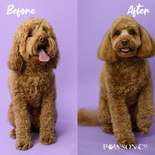 Pet Shampoo Bar | Peony & Vanilla Orchid / Jasmine & Lavender