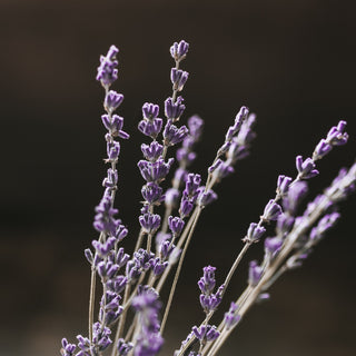 Viori product image