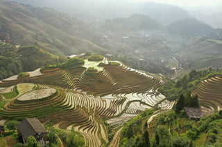 Viori product image
