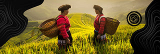 Viori product image
