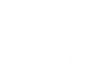 Viori product image