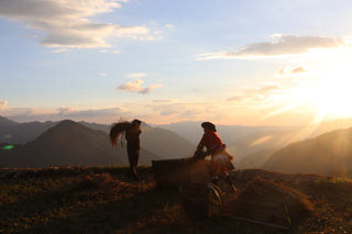 Offering Trips to Longsheng: Is This a Responsible Thing to Do?