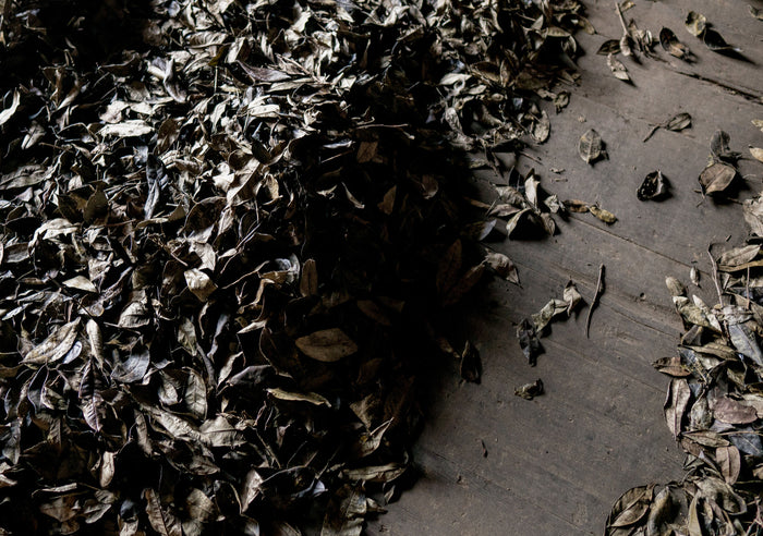 longsheng tea