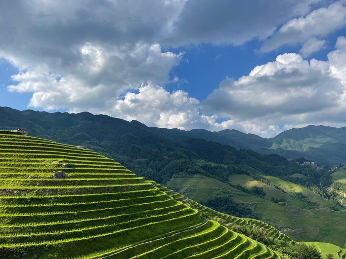 17982m2 of Longsheng soil made chemical FREE