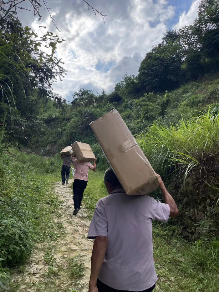 Lighting Up the Paths: Viori’s Streetlight Initiative in Xiapu Village, Longsheng