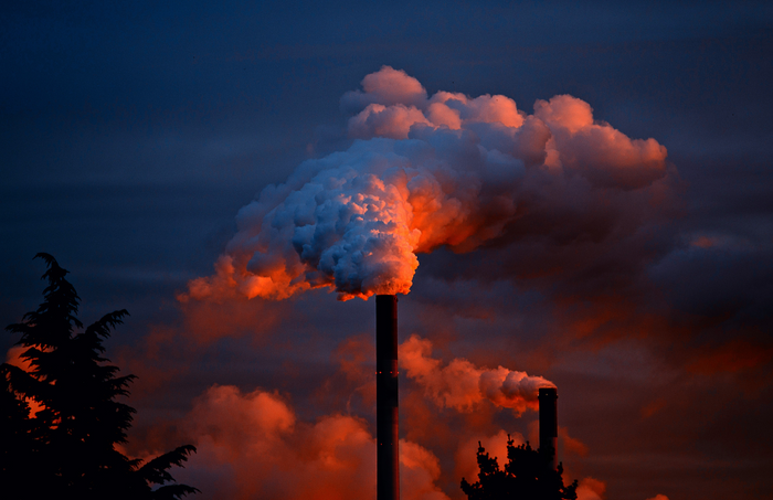 Can air pollution damage your hair?
