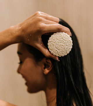 Shampoo & Conditioner Bars
