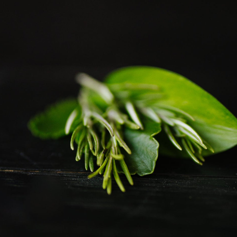 Rosemary Biotin Shampoo Bar – Thinning Hair | VIORI - angle 2