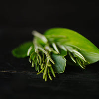 Rosemary Biotin Shampoo Bar – Thinning Hair | VIORI - angle 2