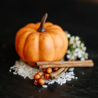 LIMITED Sugar Scrub Bar | Pumpkin Spice - angle 2