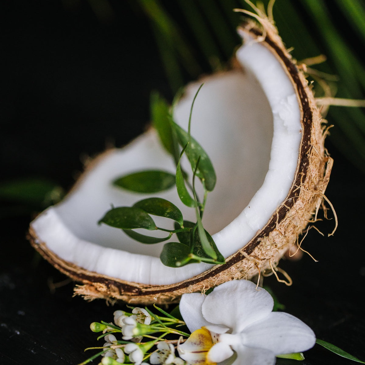 Coconut Oil Repair Shampoo Bar – Damaged Hair | VIORI - angle 2
