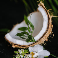 Coconut Oil Repair Shampoo Bar – Damaged Hair | VIORI - angle 2