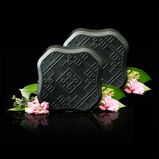 LIMITED 2-Pack Travel Case | Plant Pulp