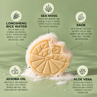 LIMITED Sage Mojito Shampoo Bar