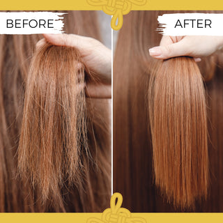 LIMTIED Argan Oil Shampoo Bar | Empress