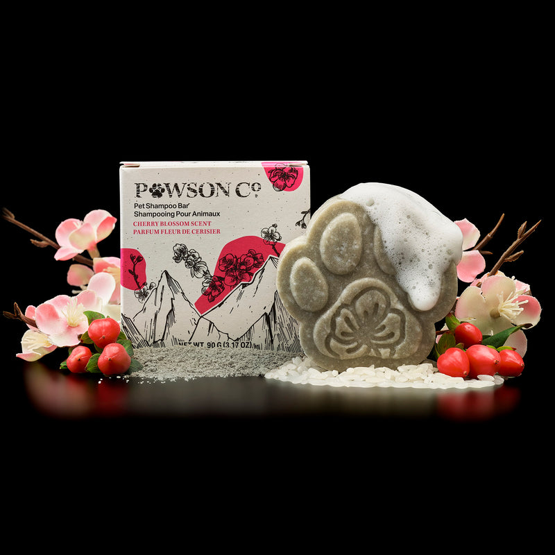 Pet Shampoo Bar – Cherry Blossom for Dogs | VIORI - VIORI Rice Water Hair Care