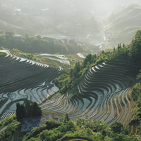 Video: aerial view of the Longsheng rice terraces in southern China